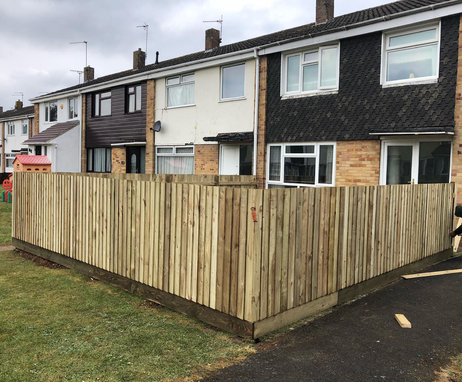 Professional ground maintenance and tree care