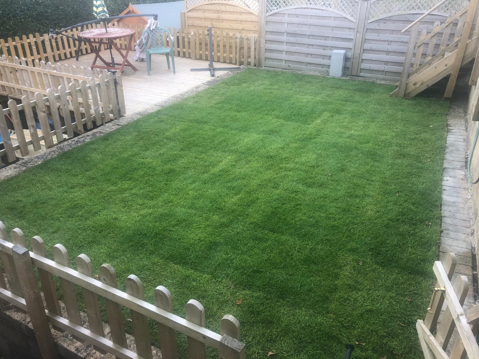 Quality tree surgery and landscaping work
