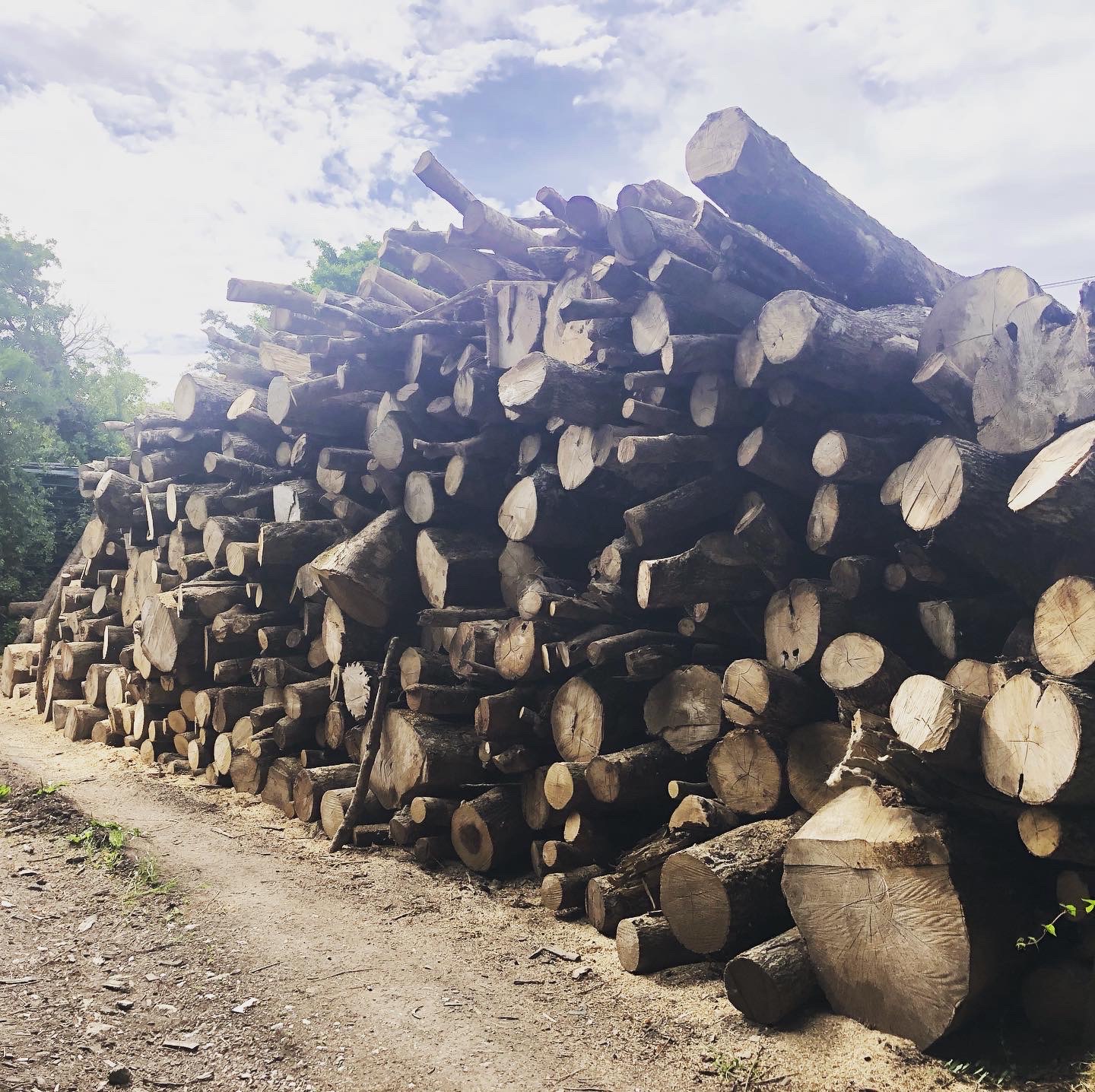 Professional tree surgery and landscaping equipment at George Harper Trees & Gardens