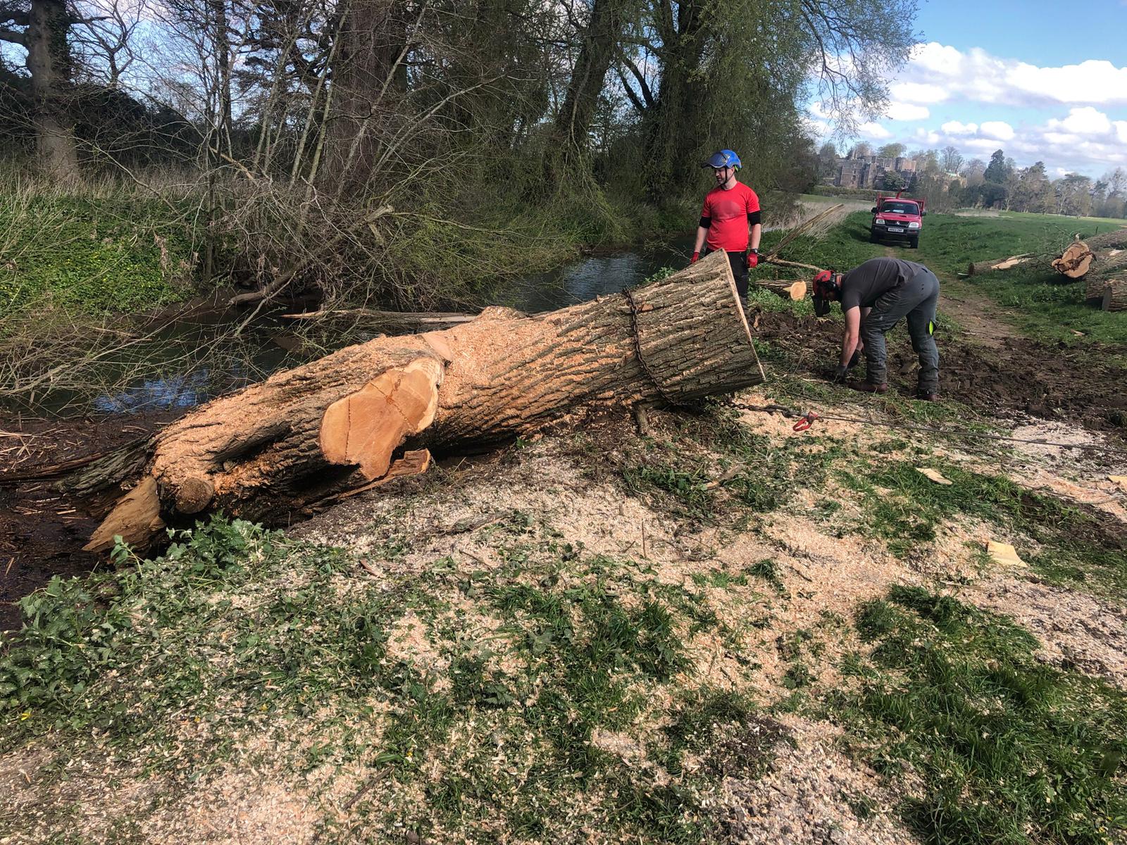 Quality landscaping and tree care services