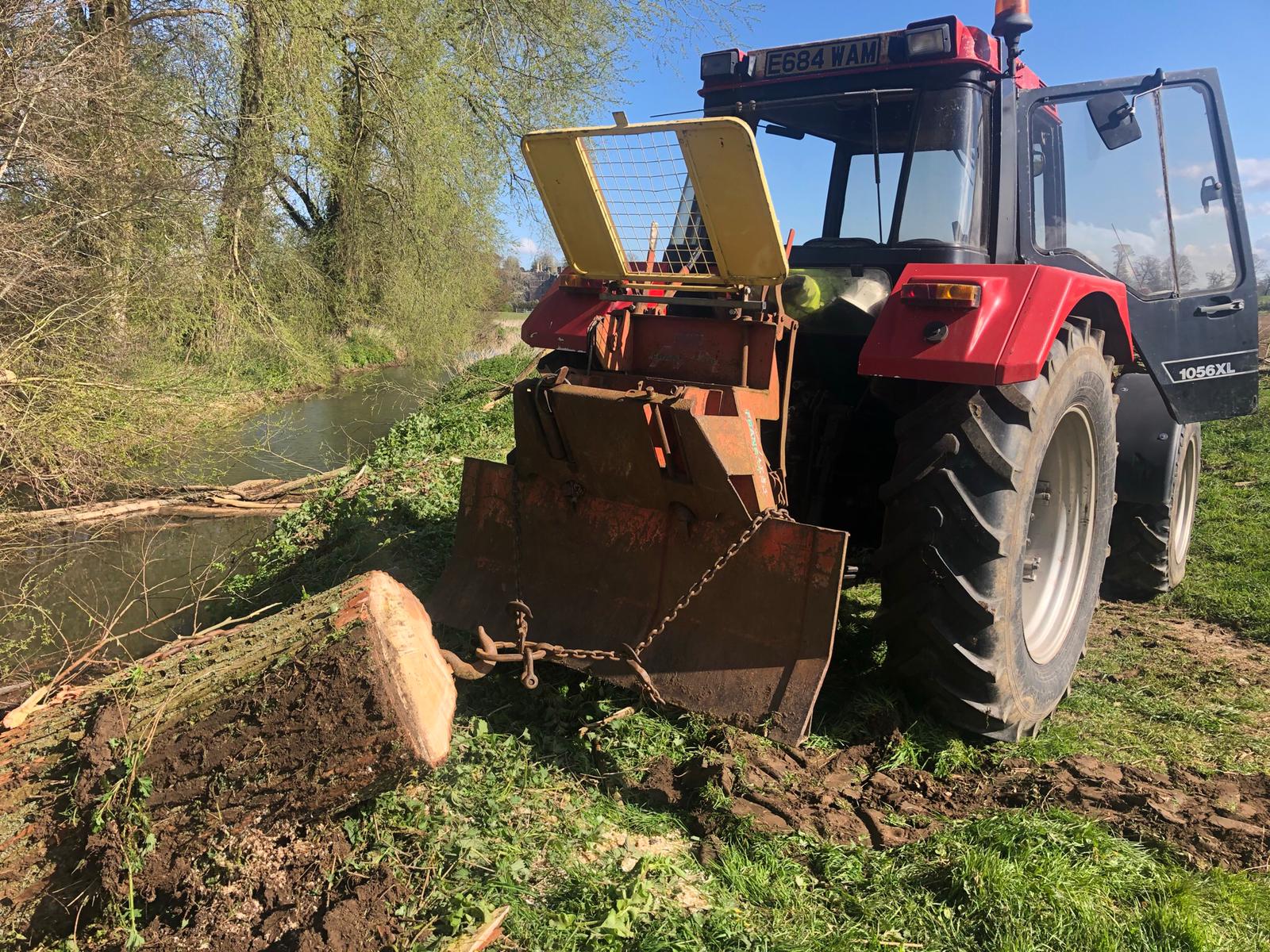Professional tree work and garden maintenance